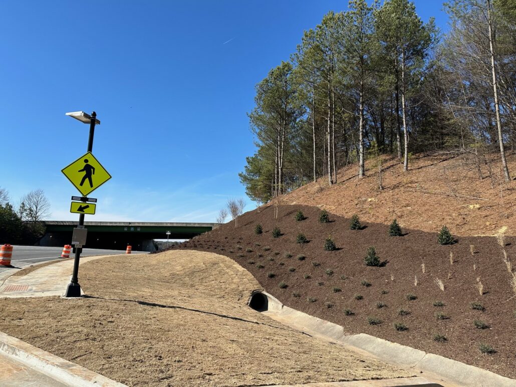 Close-up of New Landscaping